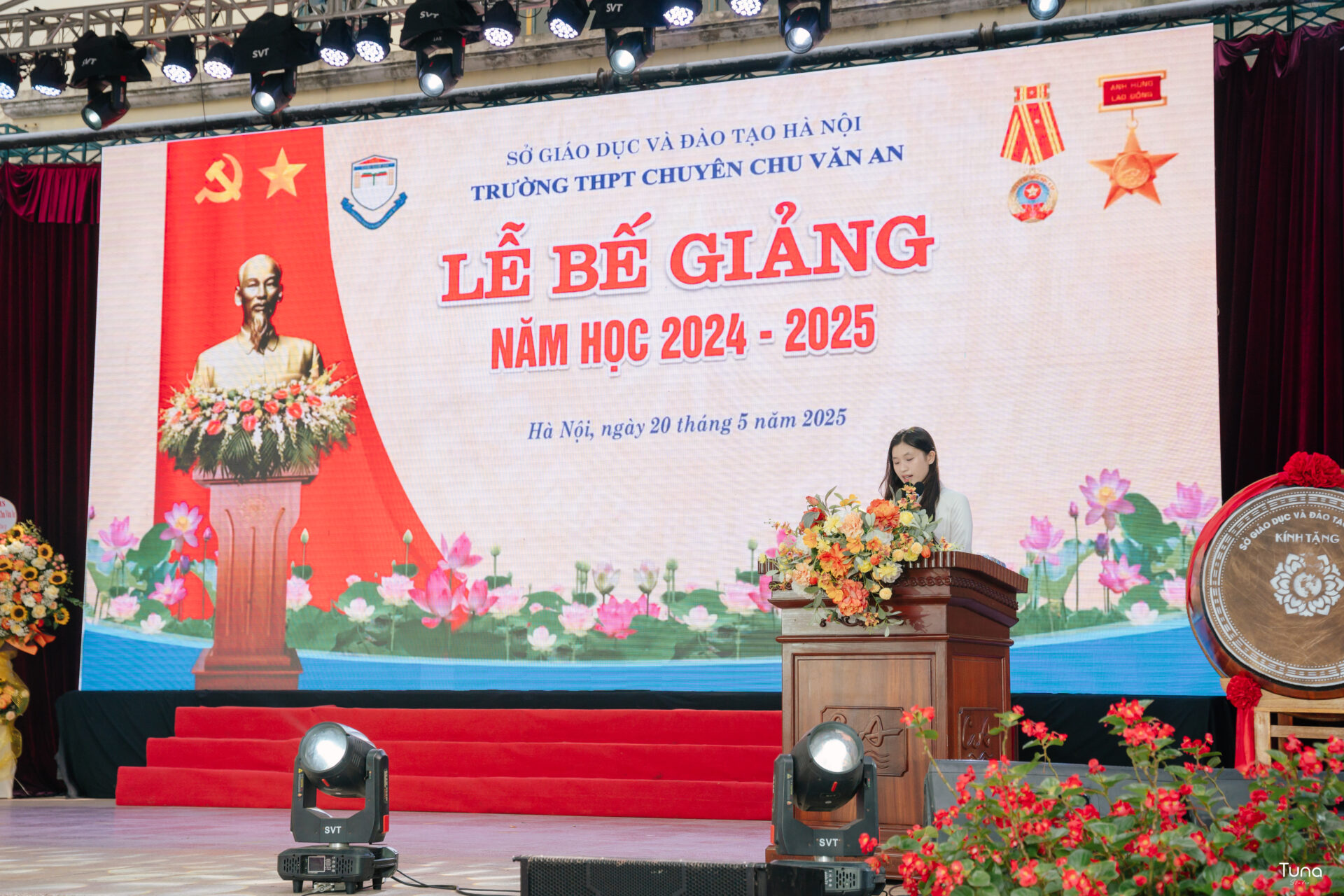 Bảo chi